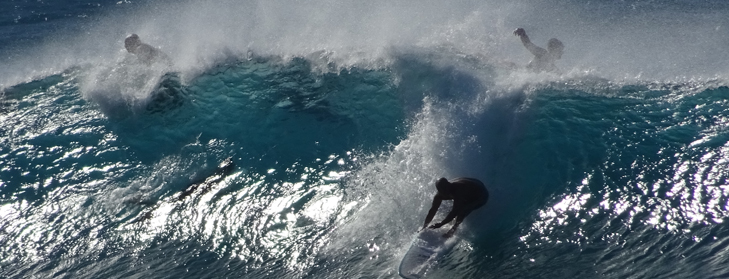 surf